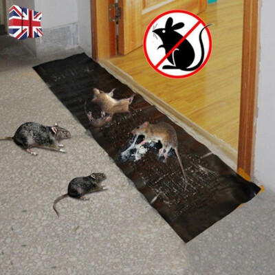 

12m Efficient Mouse Rodent Glue Traps Board Super Sticky Rat Snake Bugs Board Household Mice Control Products