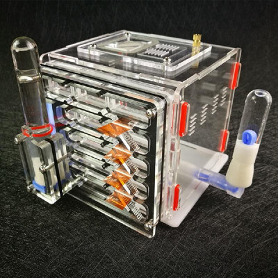 

DIY Antgranery Moisture Feeding Area Ant Farm Acryl Insect Villa Pet Advanced Mania For House Ants Birthday Present Gift