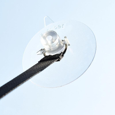 

Cat Window Hammock Suction Cups Cat Window Perch Suction Cups Replacement of Suction Cups