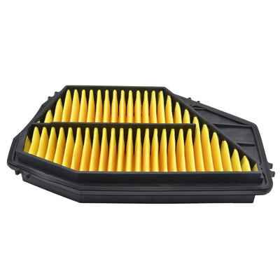 

Bi-Trust BTE00012 Engine Air Filter for Honda Accord 1994-1997 Odyssey 1995-1998 Acura CL 1997-1999 Isuzu Oasis 1996-1999