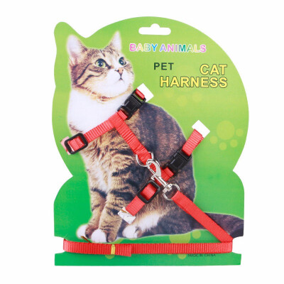 

Cat Harness with Leash Best for Walking