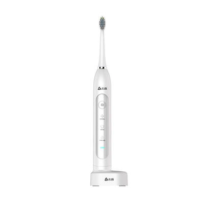 

USB Rechargeable Sonic Electric Toothbrush With 2Pcs Replaceable Heads Waterproof Timer Teeth Tooth Brush