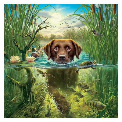 

5D DIY Full Drill Diamond Painting Dog Cross Stitch Embroidery Mosaic Kit