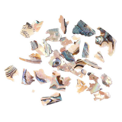 

1 Box Natural Shell Piece Multicolor Fragments Nail Patch Nail Art Decor