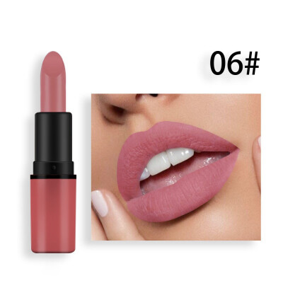 

Lips Makeup Waterproof Long Lasting Pigment Pink Shimmer Lipstick Luxury Makeup