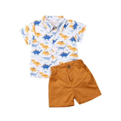 

UK Newborn Kid Baby Boys Summer Tops T-shirt Dinosaur Pants Shorts Outfits Set