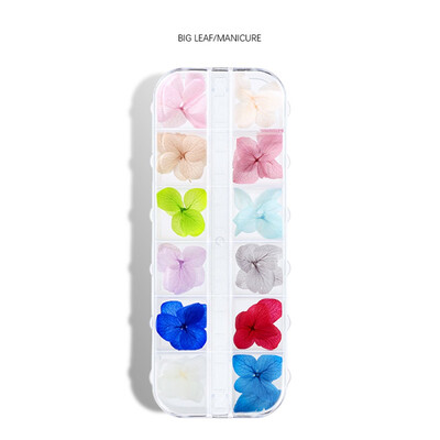 

Toponeto Nail Ornament Dry Flower Color Petals Ziyang Flower Nail Dry Nail DIY Decoration