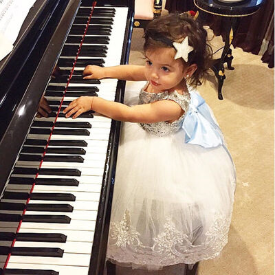 

Flower Girl Princess Dress Kids Baby Party Wedding Bridesmaid Tulle Tutu Dresses