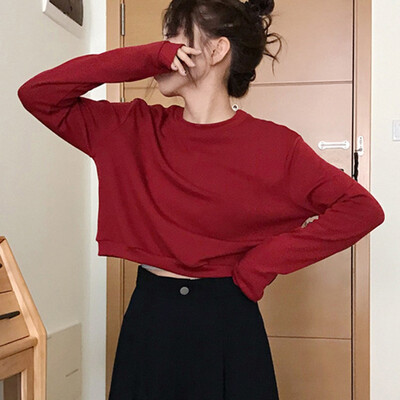 

Women Autumn T-shirt O-Neck Long Sleeve Loose T-shirt Short Tops Winter Female Plus Size Harajuku Solid Color Shirt