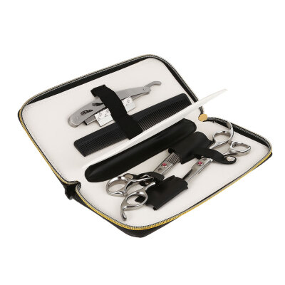 

Professional Hair Scissors Set Hairdressing Tools