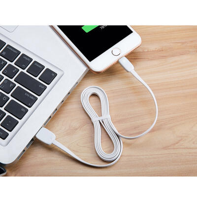 

Cute 2A USB 31 Type-C Micro USB Lightning Fast Charging Data Cable With Indicator Light-APPLE