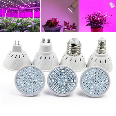 

OMTO LED Plant Growth Bulb 220V For Succulent Green Leaf Potted Plant
