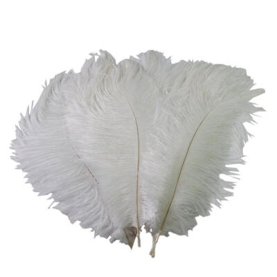 

10PCS Nature Ostrich Feathers Home Party Decor Color White