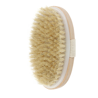 

Bathroom Bath Shower Brush