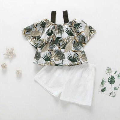 

Toddler Kids Baby Girl Off Shoulder Floral T-shirt Tops Shorts Outfits 2PCS Set