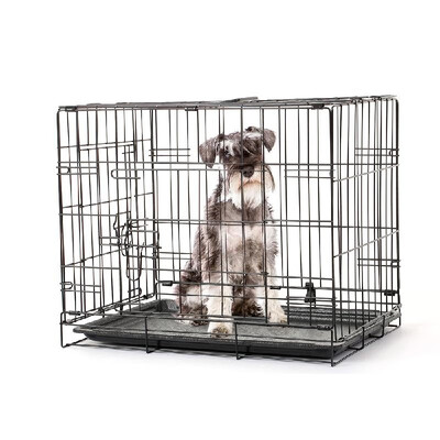 

24-Inch Double Door Folding Metal Dog Crate Secure Foldable Metal Dog Cage