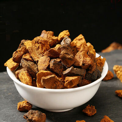 

Organic Wild Chaga Mushroom Fresh Harvest Inonotus Obliquus Chunks Tree Fungus