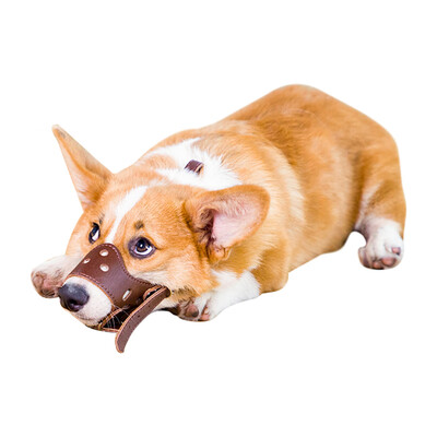 

Dream Bubble Pet Dog Mouth Set Adjustable Stopper Dog Mouth Prevention Dog Tattoo Teddy Outer Export Cover Dog Mouth Set S