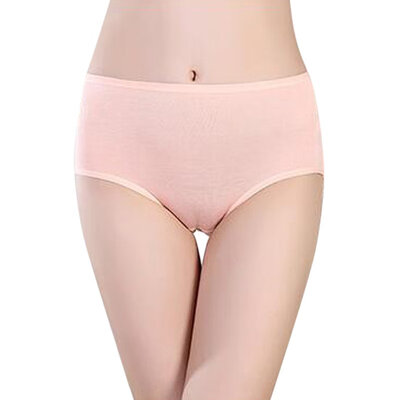 

Sexy Briefs Menstrual Period Lengthen The Broadened Female Underwear Health Seamless Women Panties New