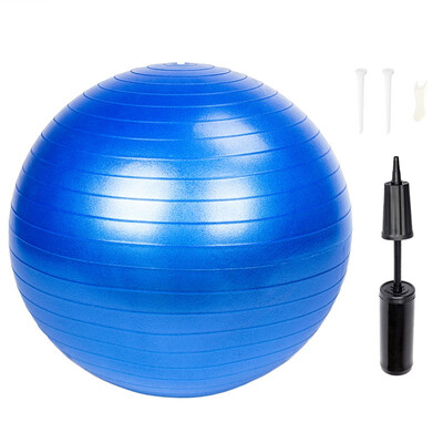 

Ktaxon Exercise Ball 65cm Fitness Yoga Pilates Stability Ab Workouts Weight Loss