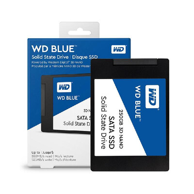 

Western Digital WD Blue 1TB PC SSD 3D NAND SATA3 6GBs 25 Inch Solid State Drive Hard Disk for PC LaptopWDS100T2B0A