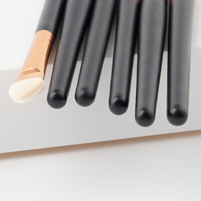 

Toponeto 6PCS Cosmetic Makeup Brush Lip Makeup Brush Eyeshadow Brush