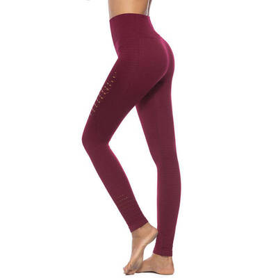 

Women Plus Size High Waist Quick Drying Hollow Mesh Stitching Workout Leggings Sports Yoga Pants
