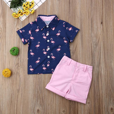 

2PCS Set Toddler Kid Baby Boy Flamingo Tops T-shirtShorts Pants Outfits Clothes