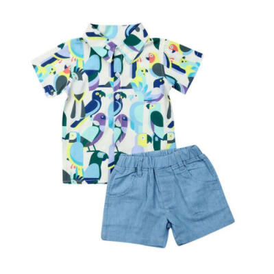 

Toddler Baby Kids Boy Short Sleeve T-Shirt Top Short Pants 2PCS Outfit Clothes