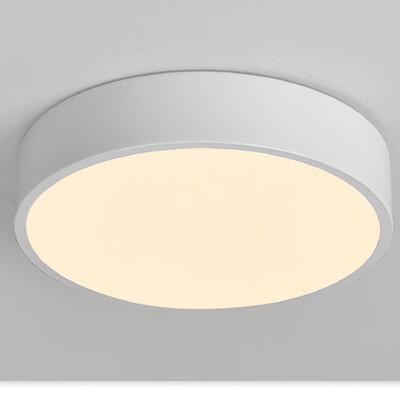 

JX232-12W-W white light ceiling lamp AC 220V
