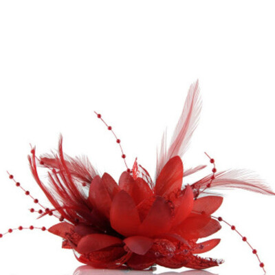 

Flower Feather Bead Corsage Hair Clips Fascinator Bridal Hairband Brooch Pin