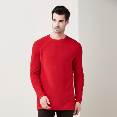 

Colorific Pullover mens sweater pullover cotton fashion 14604