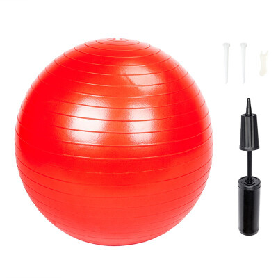 

Ktaxon Yoga Ball 55cm Exercise Gymnastic Fitness Pilates Balance Muscle Exercise Gym