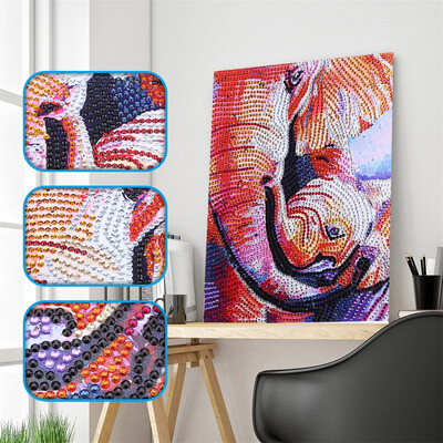 

Siaonvr Full Drill Special Shaped Diamond Painting DIY 5D Drill Cross Stitch Kits Crysta