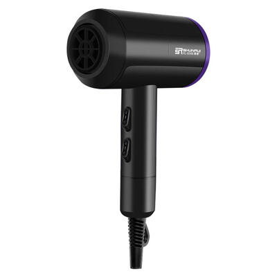 

1000W 2 Speeds Anion Hairdryer Hair Blow Dryer Fast Straightening Irons EU
