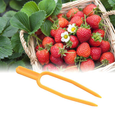 

Greensen 100PCS Strawberry Planting Fork Pressure Vine Fixed Fork Plants Clips Garden Tool