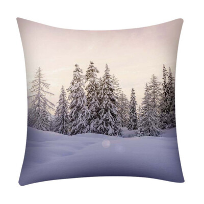 

〖Follure〗Print Pillow Case Polyester Sofa Car Cushion Cover Home Decor