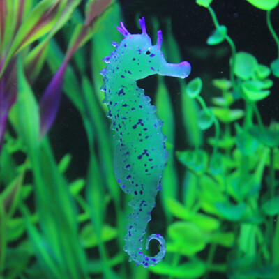 

Siaonvr Aquarium Fish Tank Landscaping Decor Glowing Effect Animal Sea Horse Ornament