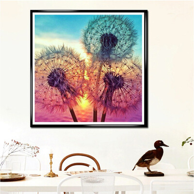

Pictures By Numbers 5D DIY Diamond Paintings Kits Partial Diamond Covered Flower Dandelion Theme Paintings By Numbers On Canvas