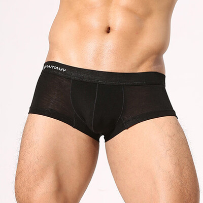 

Mens Panties Briefs Low Waist Shorts Underwear Sexy Boxer Trunks Underpants Hot