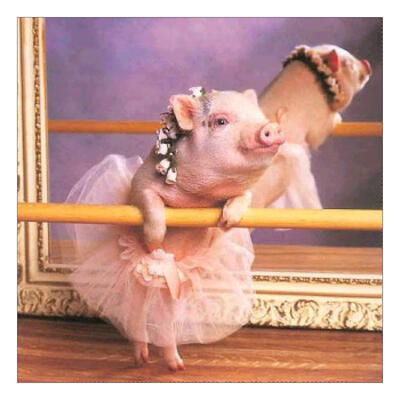 

5D DIY Full Drill Diamond Painting Pig Cross Stitch Embroidery Mosaic Kit