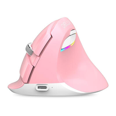 

Delux M618 Mini Wireless Vertical Mouse 2400 DPI RGB Rechargeable PC Mice