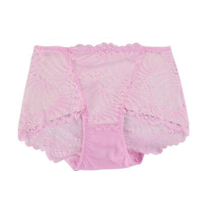 

Womens Lace Transparent Panties Mid Waist Seamless Breathable Sexy Plus Size