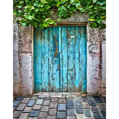 

Blue Door Photo Backdrop 57FT Vinyl Fabric Cloth Digital Printing Birthday Photo Background s-2185