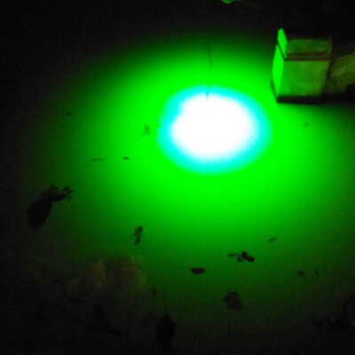 

Hot LED Underwater Submersible Night Fishing Light Crappie Shad Squid Boat New