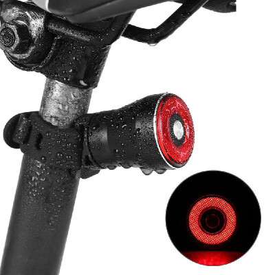 

Bike Cycling Rear Light Intelligent Sensor Light Rechargeable Bike Saddle Rear Lamp Auto-off Smart Taillight