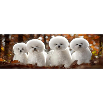 

5D DIY Full Drill Diamond Painting Cute Dogs Cross Stitch Embroidery Mosaic