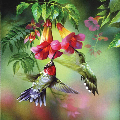 

Siaonvr 5DFull Embroidery Paintings Rhinestone Pasted DIY Diamond Painting Cross Stitch