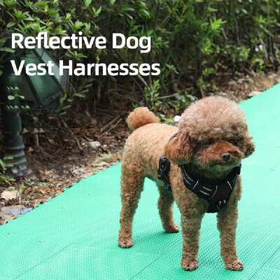 

Dog Vest Harnesses Reflective Service Dog Harness Adjustable Service Dog Vest for Outdoor Walking