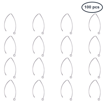 

PH PANDAHALL 1Box 304 Stainless Steel Earring Hooks for DIY Jewelry Making